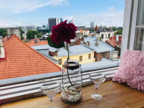 Cozy oldtown studio with magnific city view, Tallinn